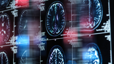 اكتشاف دارة دماغية جديدة قد يؤدي إلى تطوير علاجات جديدة للإدمان