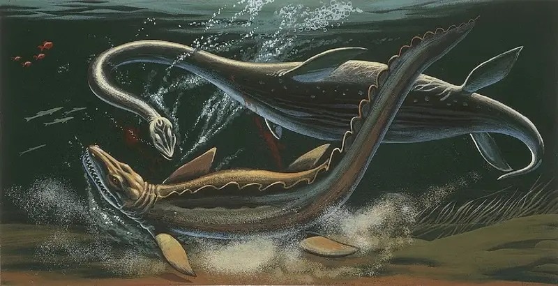 كانت الزواحف وأسماك القرش غير الديناصورية أكبر الحيوانات المفترسة في محيطات العصر الطباشيري.دي أغوستيني عن طريق غيتي إميدجيز