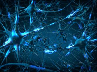 ما هي عملية «التجديد العصبية» التي يخضع لها الدماغ بعد سن الأربعين؟
