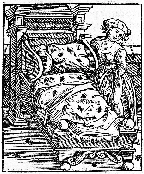 عانى البشر هذه الحشرات خلال معظم تاريخهم، ويوجد هذا التمثيل الفني لها في كتاب نُشر في مدينة ستراسبورغ عام 1536. حقوق الصورة: ويلكم كولكشن