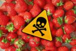 حصاد العلوم اليوم: تحديد الأطعمة التي تحتوي على أكبر نسبة من المبيدات الحشرية الخطيرة واستخدام المُركّبات التي تنتجها السرطانات لمحاربة السرطان نفسه