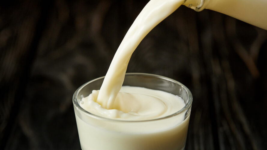 ما مخاطر شرب الحليب غير المبستر؟